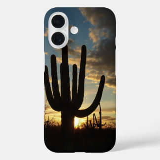 title_seo2 Paisaje del desierto de Saguaro Sunset II Arizona