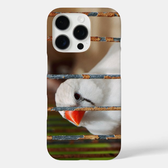 title_seo2 Pájaro finco lindo en jaula (Reverso )