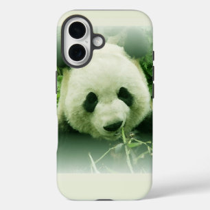 title_seo2 Panda