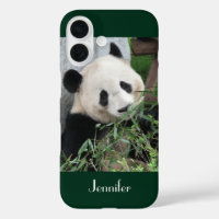 Panda gigante suave fondo verde oscuro, nombre,