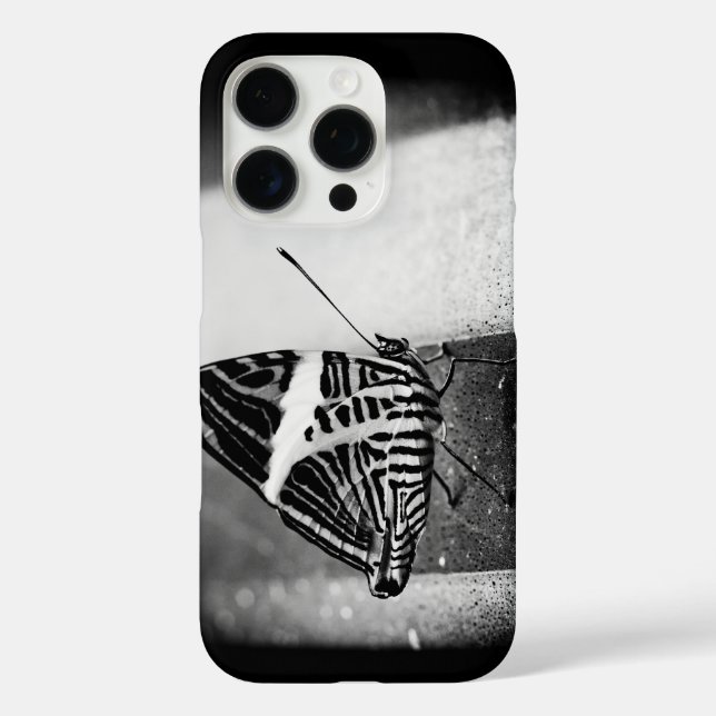 title_seo2 paso de mariposa (Reverso )