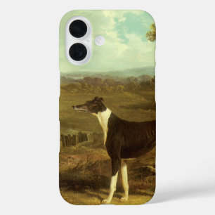 title_seo2 Perros, Greyhound y Spaniel, Médica Fop by Herring