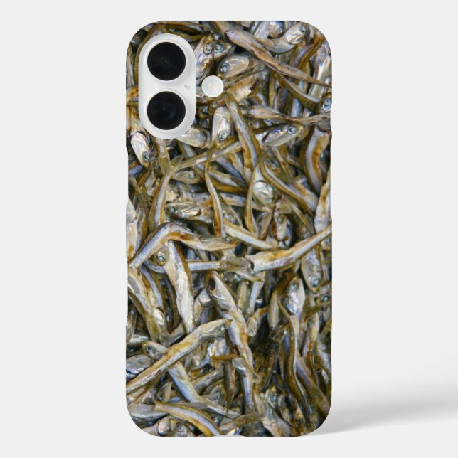 title_seo2 pescado seco 3 (Reverso )