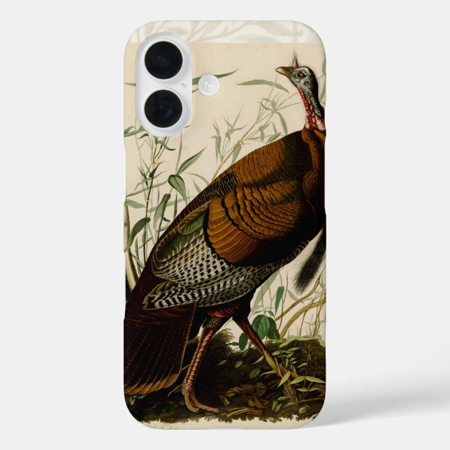 title_seo2 Pintado de aves salvajes Audubon en Turquía (Reverso )