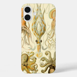 title_seo2 Poulpo vintage Gamochonia de Ernst Haeckel