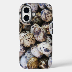 title_seo2 Quail Eggs