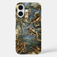 Ranas y sapos antiguos Batrachia de Ernst Haeckel