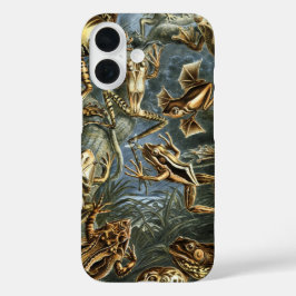 title_seo2 Ranas y sapos antiguos Batrachia de Ernst Haeckel