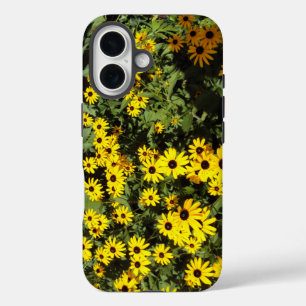 title_seo2 Sunlit Meadow