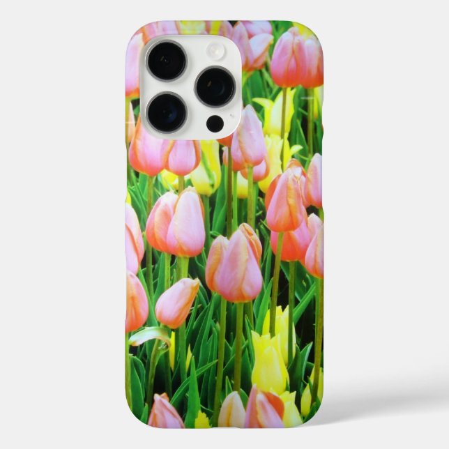 title_seo2 tulipán (Reverso )