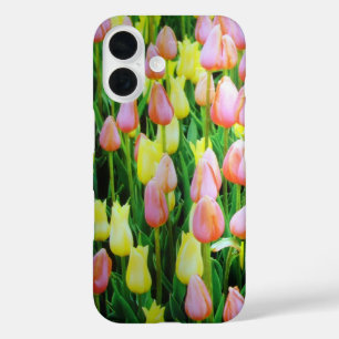 title_seo2 tulipanes