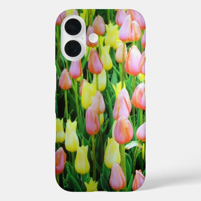 title_seo2 tulipanes (Reverso )