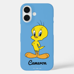 title_seo2 TWEETY™   Ave inteligente
