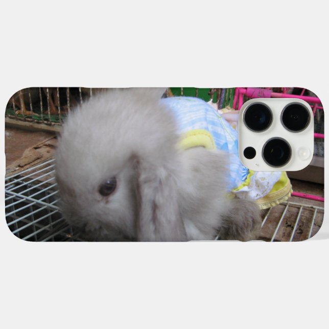 title_seo2 Un conejo vestido (Reverso  (Horizontal) )