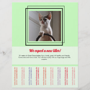 To sell Puppies Flyer