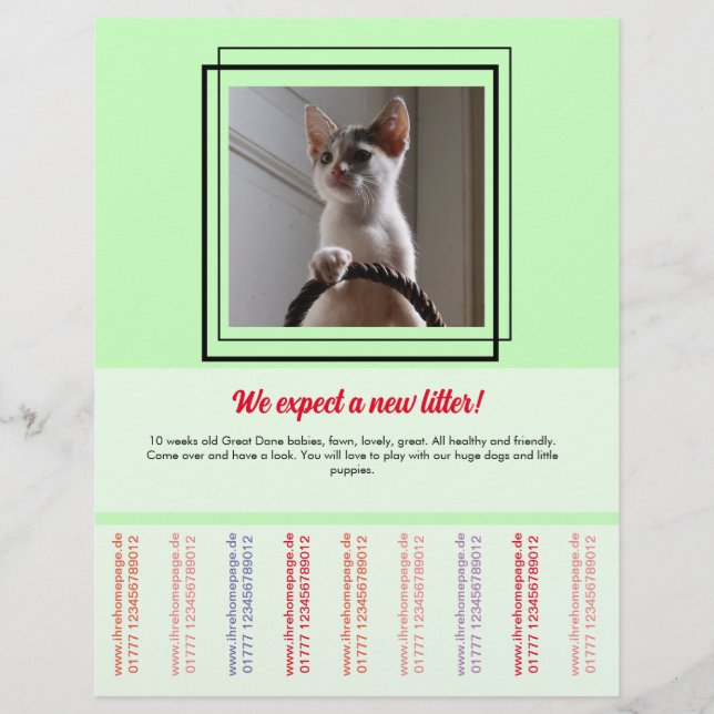To sell Puppies Flyer (Frente)