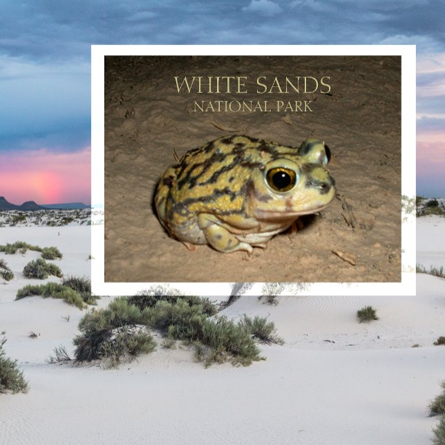 Toad de pie, postal del Parque Nacional de Sands B (Subido por el creador)
