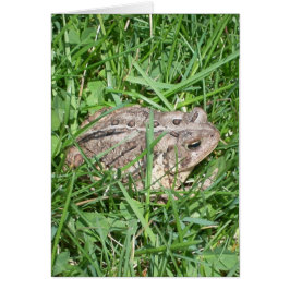 Toad in the Grass