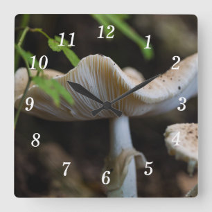 Toadstoide Reloj de pared de paraguas