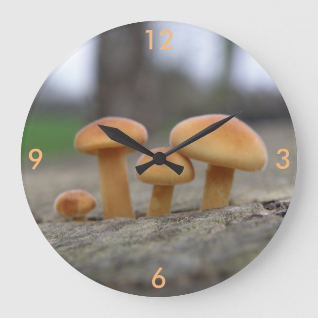 Toadstoides pequeños reloj de pared macro (Anverso)