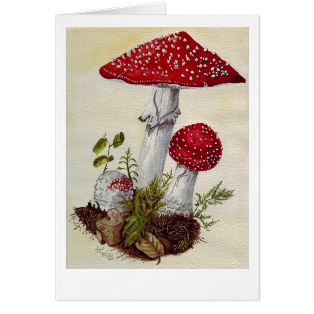 Toadstool (Frente)