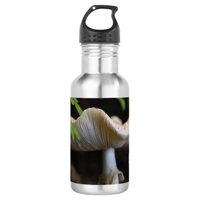 Toadstool Botella de agua de paraguas (Anverso)