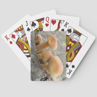 Toadstools en las cartas de reproducción de tronco