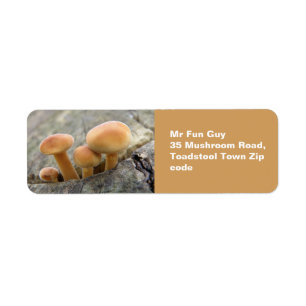 Toadstools en las etiquetas de los Personalizados 