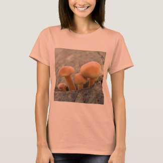 Toadstools en una camiseta troncal del árbol