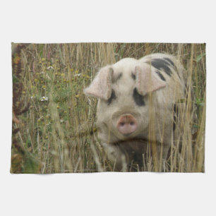 Toalla Cute Pig Kitchen