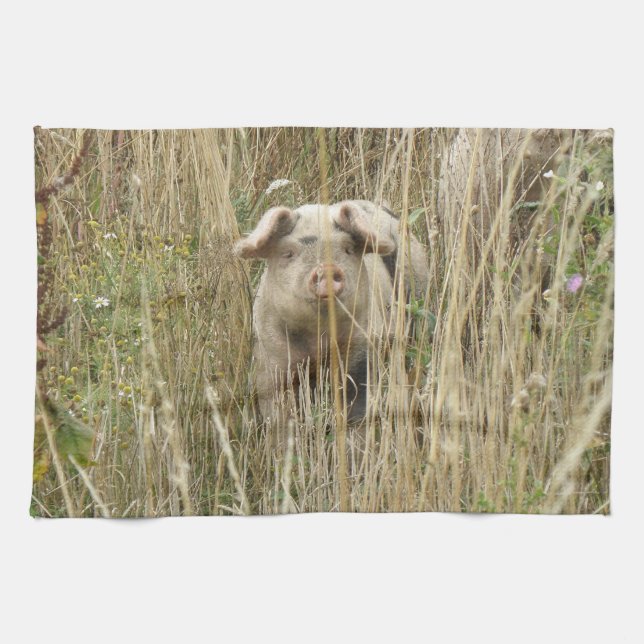 Toalla Cute Spotty Pig Kitchen (Horizontal)