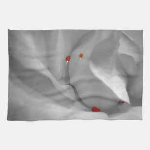 Toalla de cocina acuática eoliana