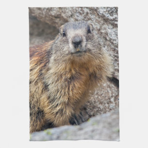 Toalla de cocina alpina marmot