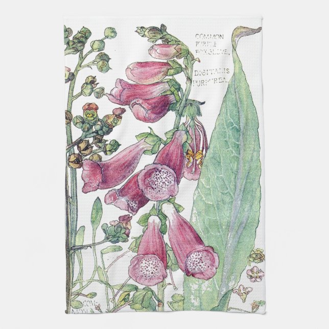 Toalla de cocina botánica de la flor del (Vertical)