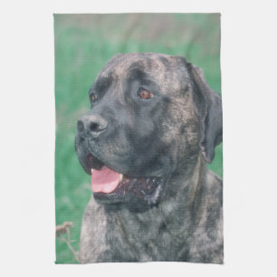 Toalla de cocina Brindle del perro del mastín