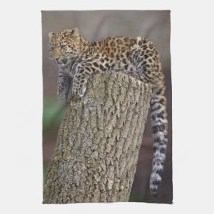 Toalla de cocina cola de leopardo
