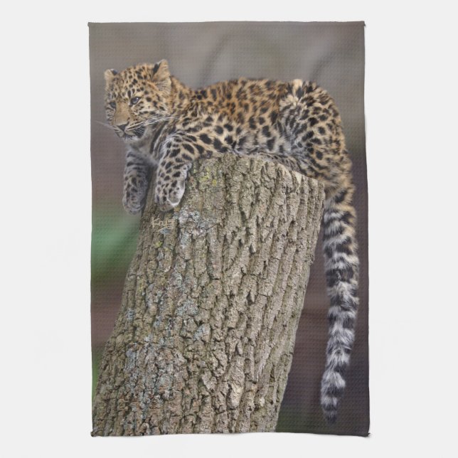Toalla de cocina cola de leopardo (Vertical)