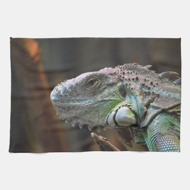 Toalla de cocina con cabeza de lagarto de Iguana c (Horizontal)