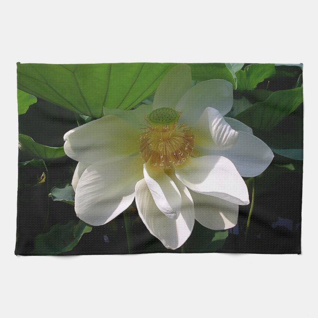 Toalla de cocina con delicada flor blanco Lotus (Horizontal)