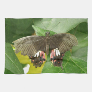 Toalla de cocina con mariposa de cola de cerda