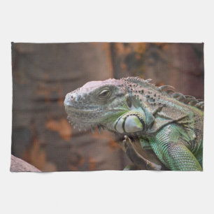 Toalla de cocina con un colorido lagarto de Iguana