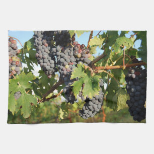 Toalla de cocina con uvas de vino en la vid