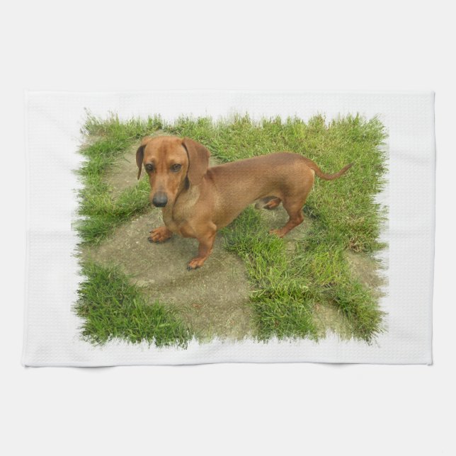 Toalla de cocina Daschund (Horizontal)