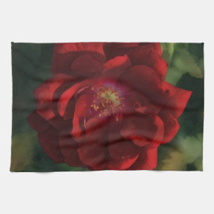 Toalla de cocina de arte de rosa dramática roja gr