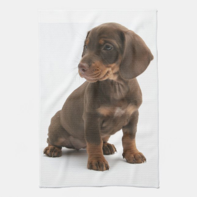 Toalla de cocina de cachorro Dachshund (Vertical)