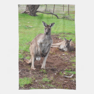 Toalla de cocina de canguro australiano macho