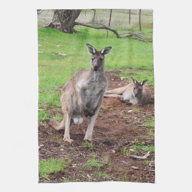Toalla de cocina de canguro australiano macho (Vertical)