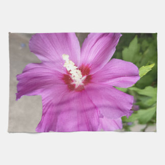 Toalla de cocina de flor de malva rosa