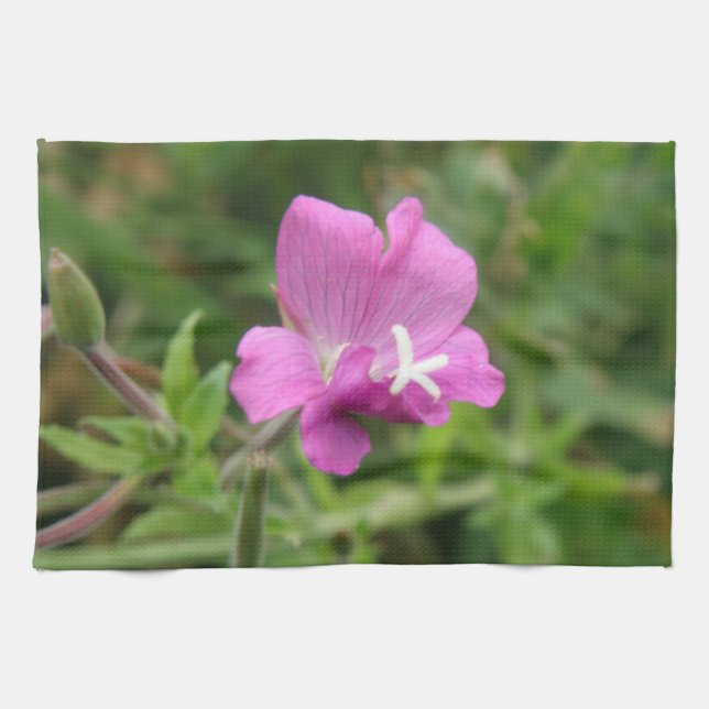 Toalla de cocina de flores silvestres de campión r (Horizontal)