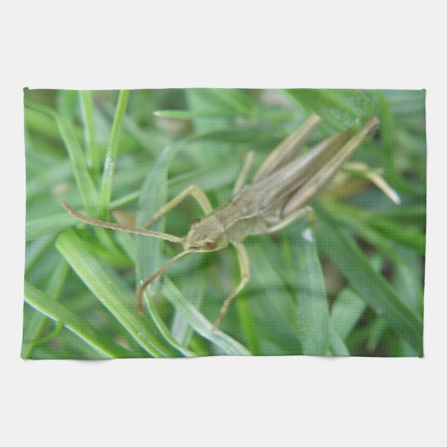 Toalla de cocina de Grasshopper (Horizontal)